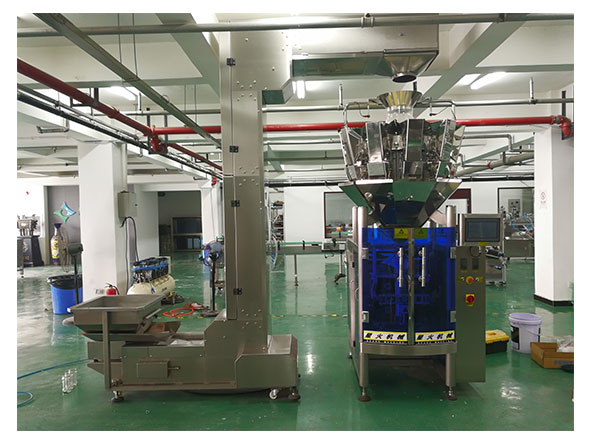 自動(dòng)化湯圓包裝機(jī)械設(shè)備