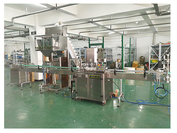 全自動(dòng)化南瓜子灌裝生產(chǎn)設(shè)備