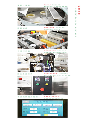 ���������b�C