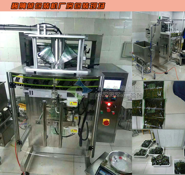 ȫ�Ԅӹ��p�����b�C��Dչʾ