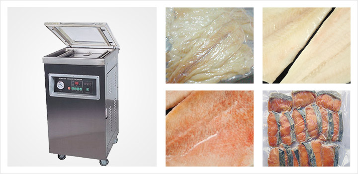 魚(yú)片真空包裝機(jī)