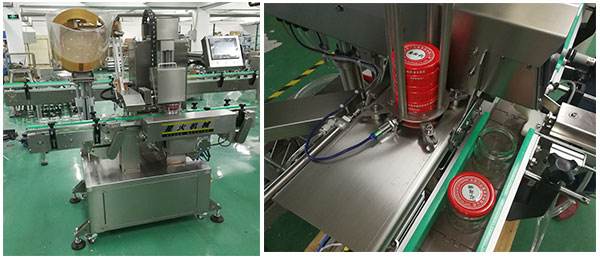 自動(dòng)藥瓶旋蓋機(jī)